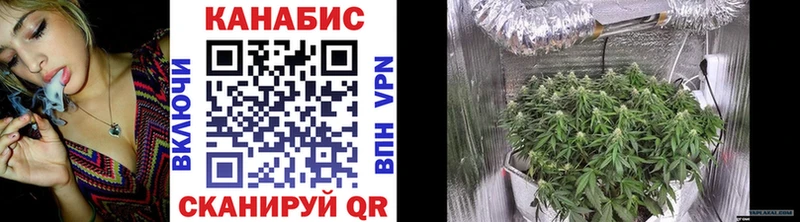 Бошки Шишки VHQ Цивильск